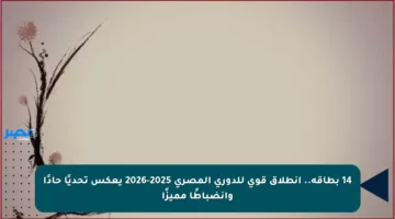 14 بطاقة.. انطلاق قوي للدوري المصري 2025-2026 يعكس تحديًا حادًا وانضباطًا مميزًا